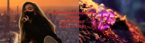 молекула духа Алексин