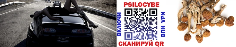 Галлюциногенные грибы Psilocybe  Йошкар-Ола 